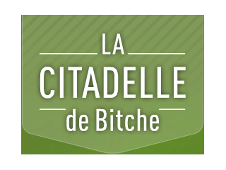 La Citadelle de Bitche